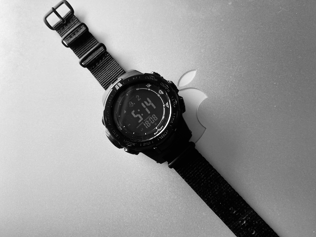 PRW-3100Y NATO ストラップ カスタム